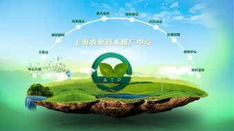 上海農(nóng)業(yè)技術(shù)推廣中心軟件開發(fā) 驅(qū)動(dòng)現(xiàn)代農(nóng)業(yè)的數(shù)字化引擎